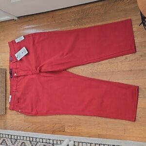 GLORIA VANDERBILT WOMEN'S PLUS  "AUTUMN BLAZE" PANTS JEANS AMANDA SIZE 22W SHORT